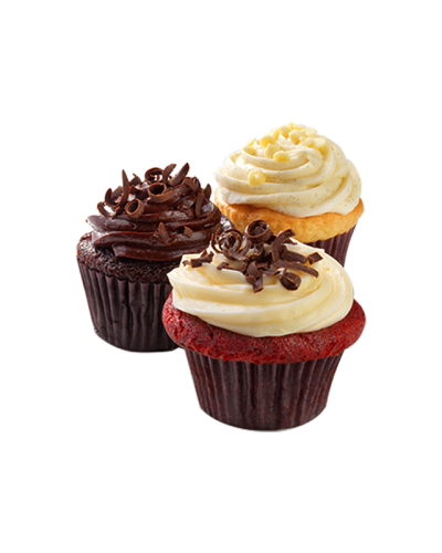Chocolate Muffin